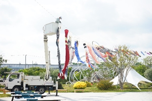 設営後すぐ元気に泳ぐ鯉のぼり
