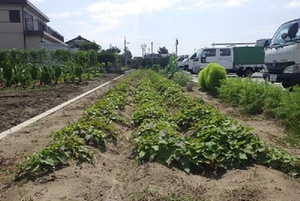 　　　　　松川農園