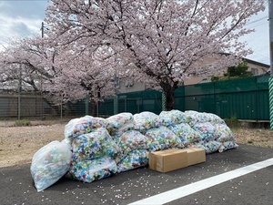 エコキャップ6万個とプルタブ8kg