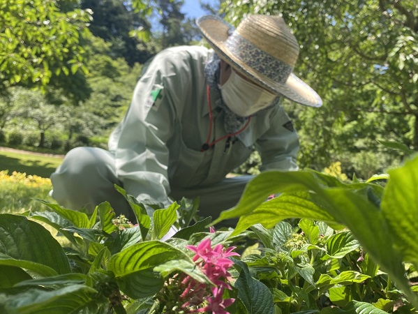 弊社社員も植え込み作業を実施しました。