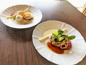 ランチ料理のメイン