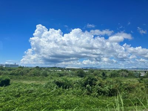 8月末の夏の空
