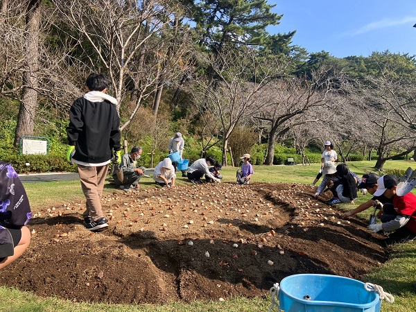 球根を配置する作業