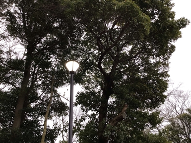 万斛庄屋公園照明