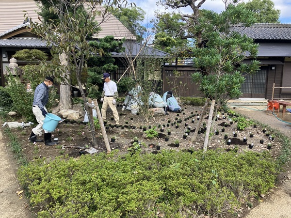 鈴松庵正面花壇植栽