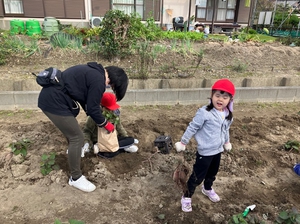 浜松視覚特別支援学校生徒サツマイモ収穫体験