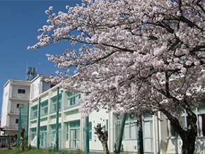静岡県立浜松視覚特別支援学校