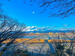 島田「蓬莱橋」