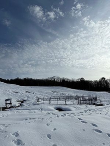 雪景色