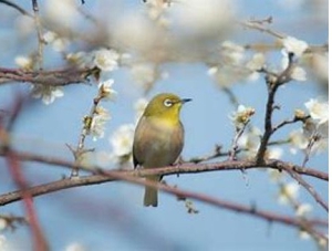 �@�@�@�@�@�@���W��