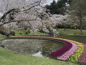 �@�@�͂܂܂t�����[�p�[�N